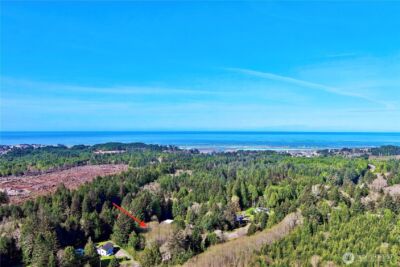 31 Ocean Beach Road , Pacific Beach, WA 98571 - Photo 3