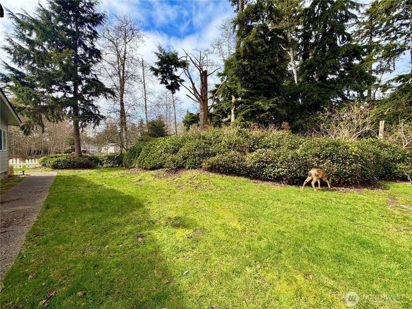 620 Chenois Avenue NE, Ocean Shores, WA 98569