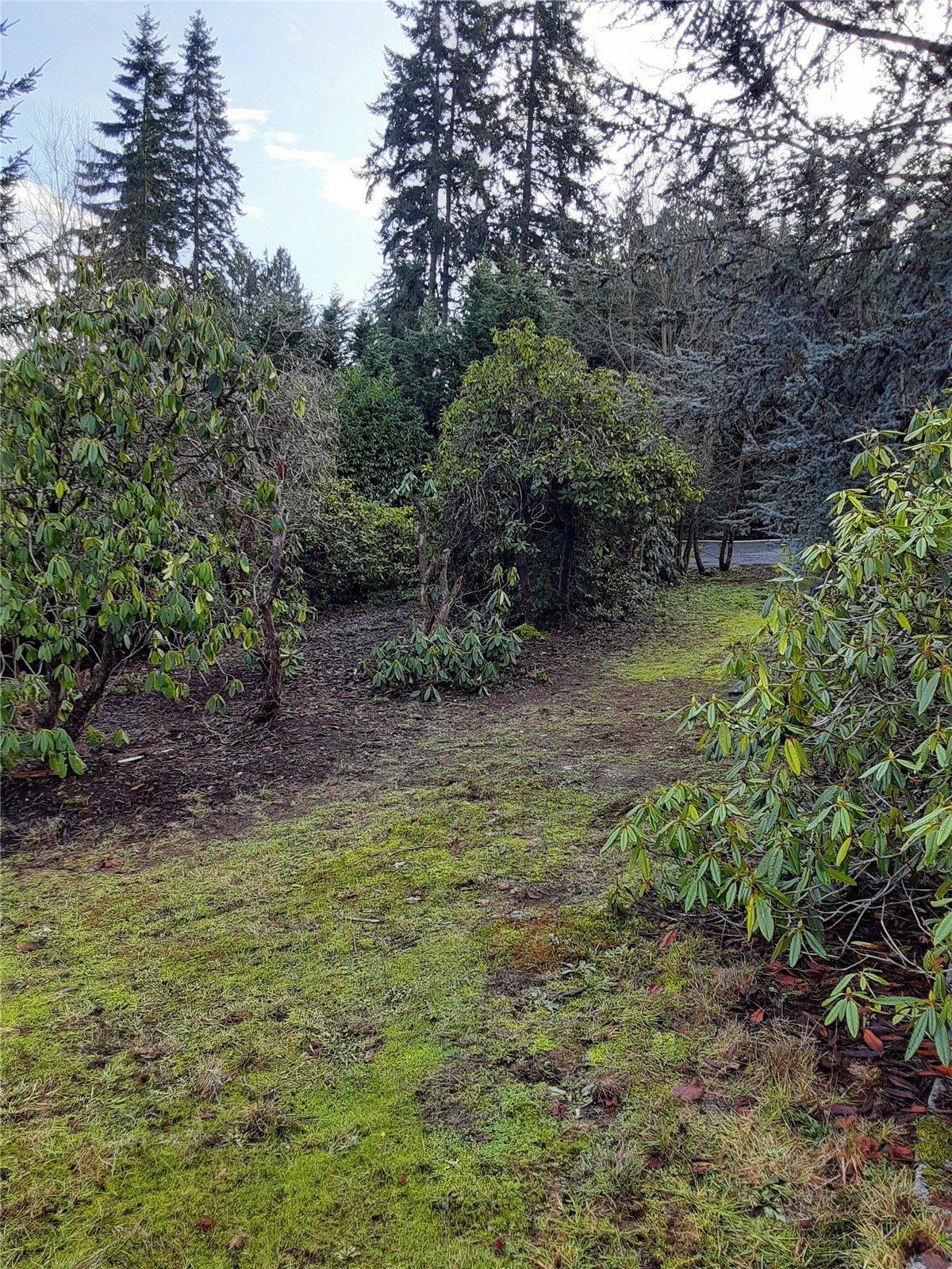 19028 15th Avenue NE, Shoreline, WA 98155