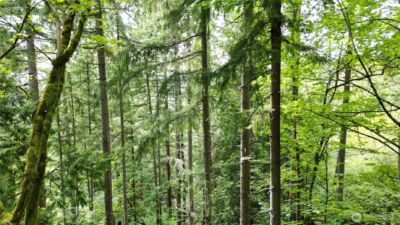 116 xx 198th ave se , Issaquah, WA 98027 - Photo 3
