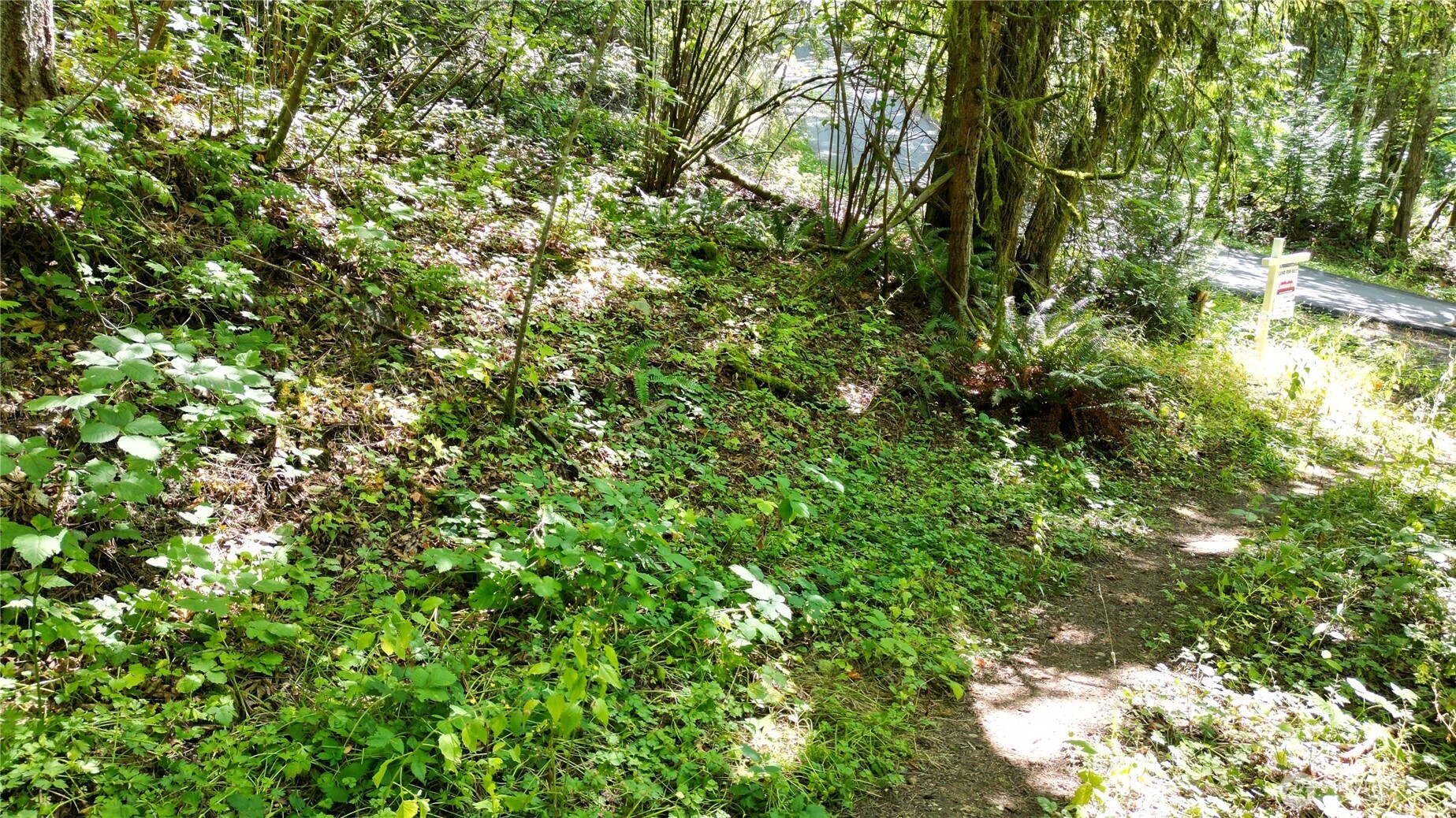 116 xx 198th ave se , Issaquah, WA 98027