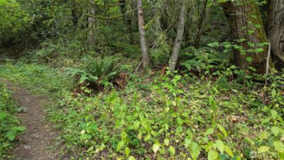 116 xx 198th ave se , Issaquah, WA 98027 - Photo 7