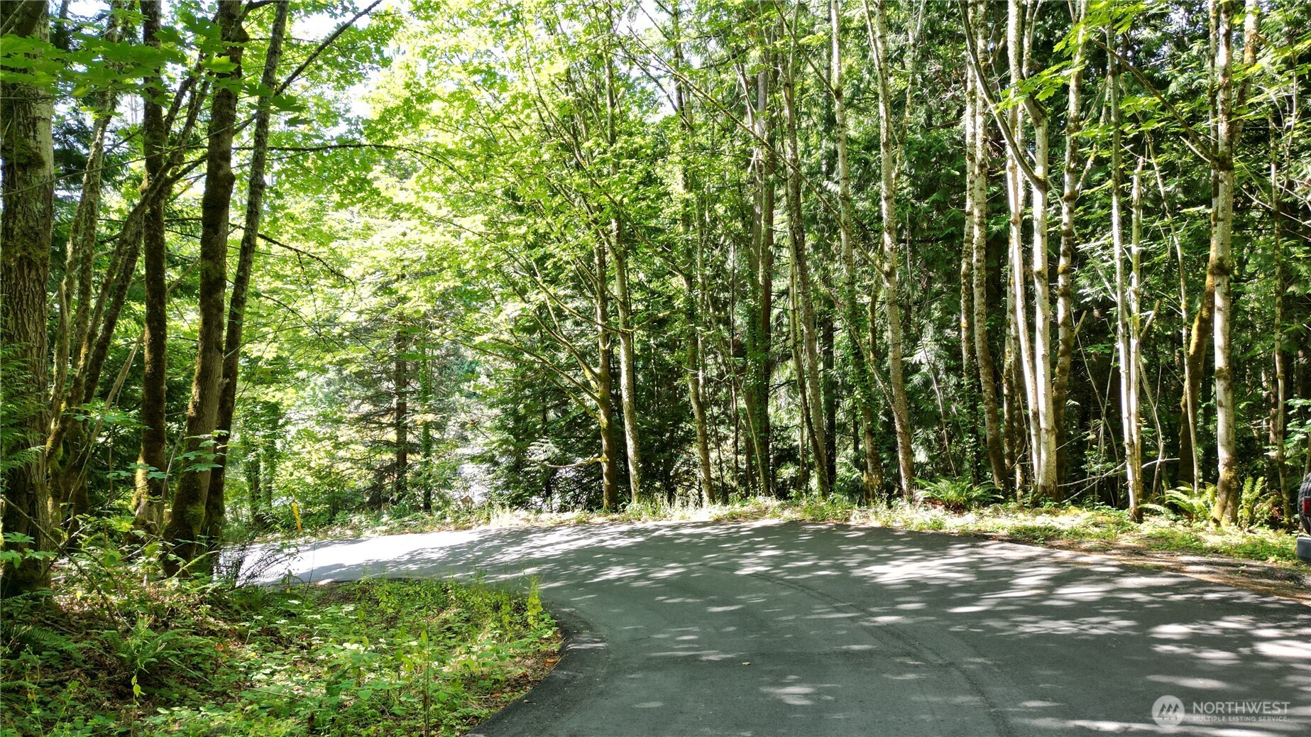 116 xx 198th ave se , Issaquah, WA 98027