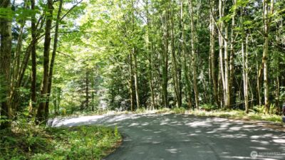 116 xx 198th ave se , Issaquah, WA 98027 - Photo 8