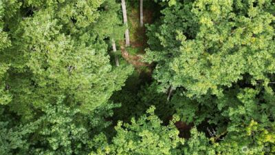 116 xx 198th ave se , Issaquah, WA 98027 - Photo 10
