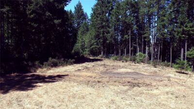 650 N Lake Cushman Road , Hoodsport, WA 98548 - Photo 13