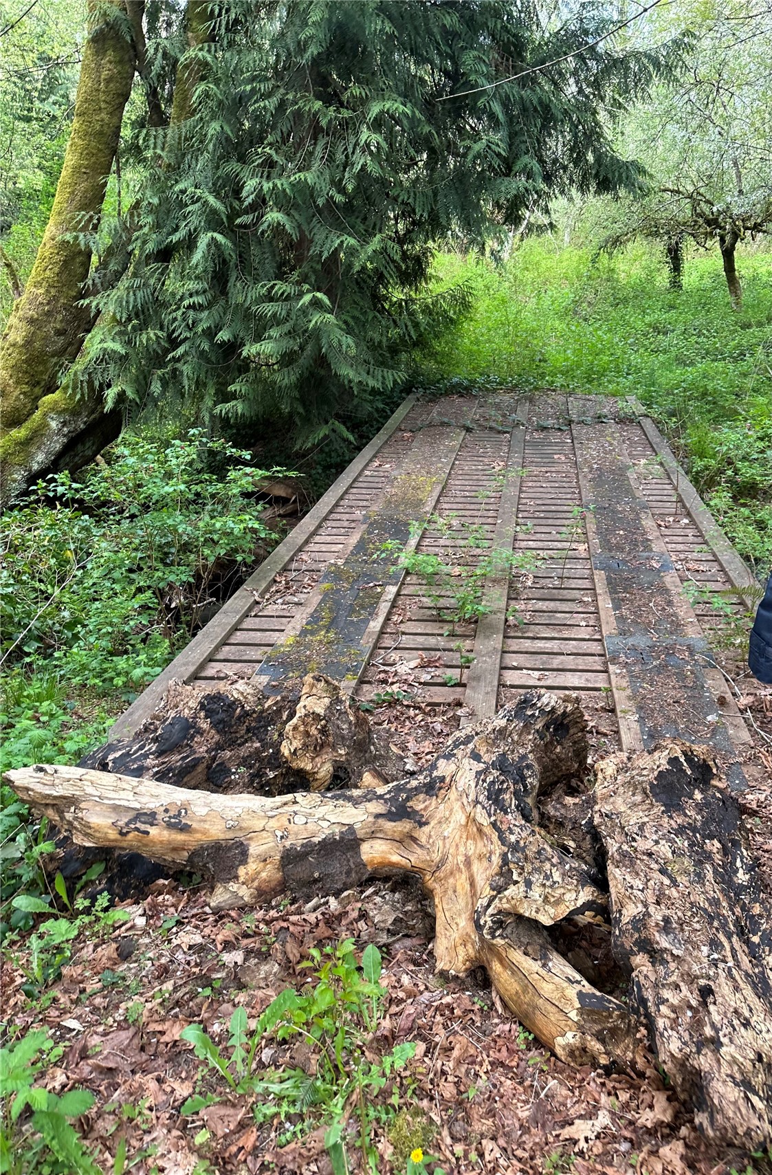 0 NW Anderson Hill Road , Silverdale, WA 98383