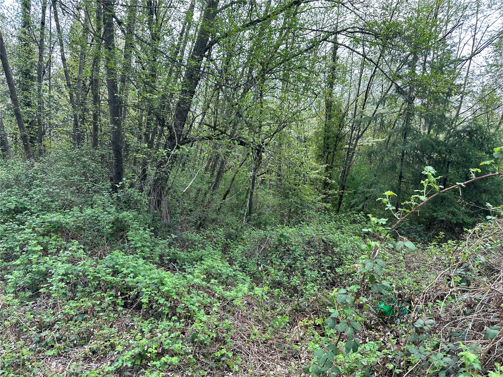 0 NW Anderson Hill Road , Silverdale, WA 98383