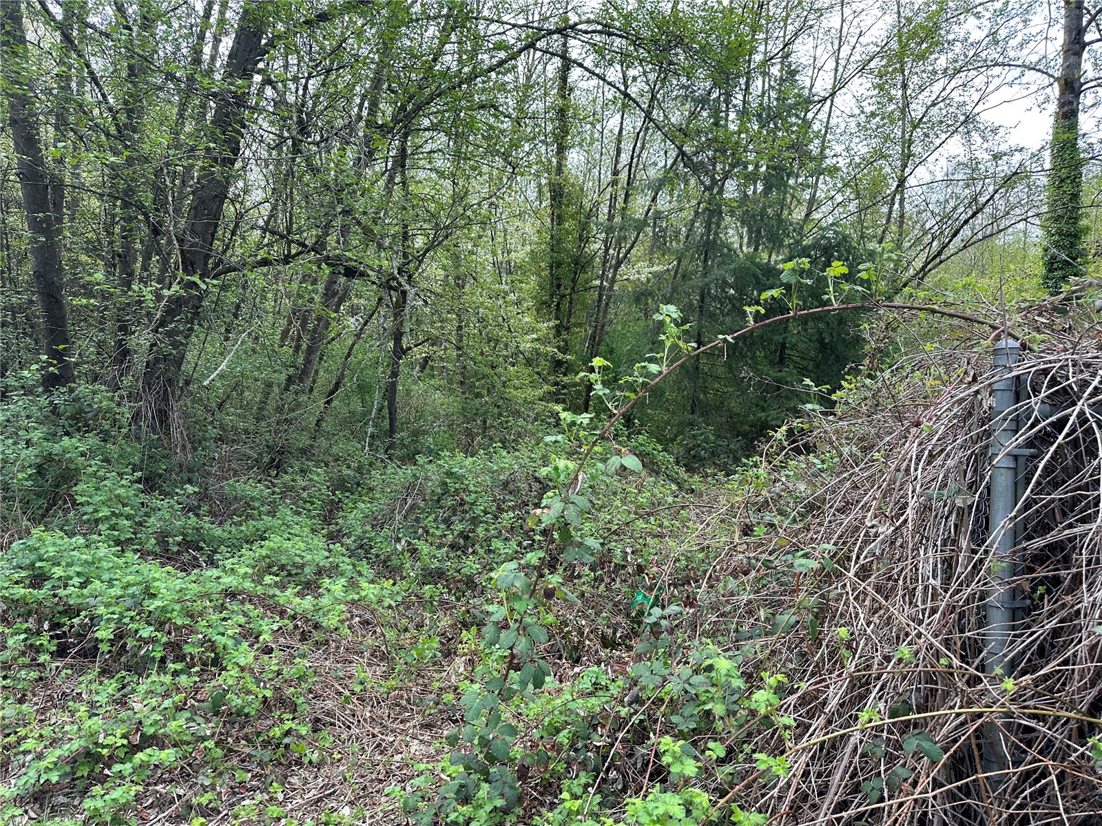 0 NW Anderson Hill Road , Silverdale, WA 98383