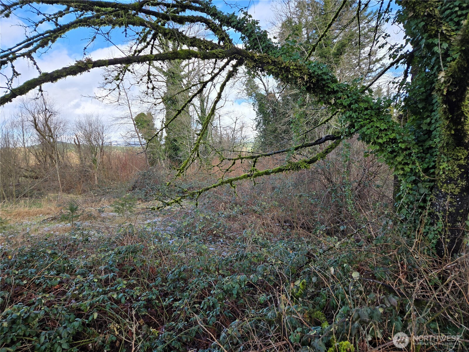615 Croft Avenue W, Gold Bar, WA 98251