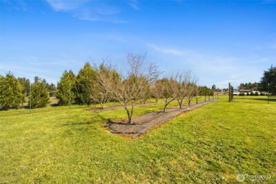 217 Bay Road , Winlock, WA 98596 - Photo 23