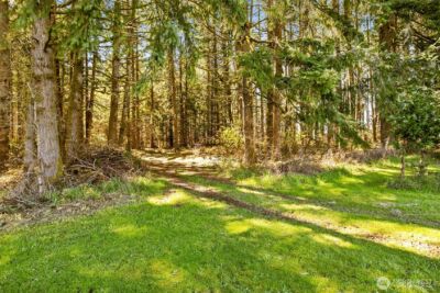 217 Bay Road , Winlock, WA 98596 - Photo 29