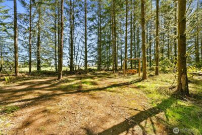 217 Bay Road , Winlock, WA 98596 - Photo 30