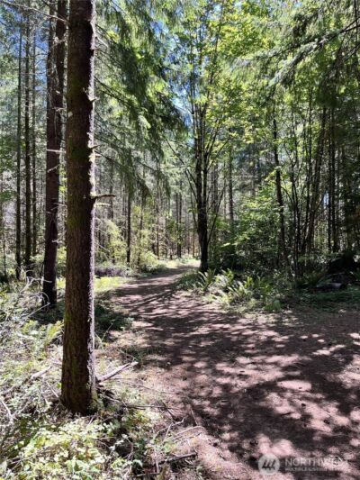 217 Bay Road , Winlock, WA 98596 - Photo 31