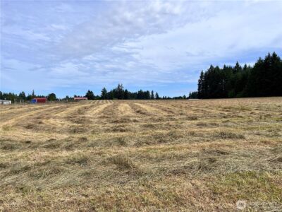 217 Bay Road , Winlock, WA 98596 - Photo 32