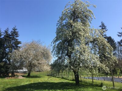 217 Bay Road , Winlock, WA 98596 - Photo 33