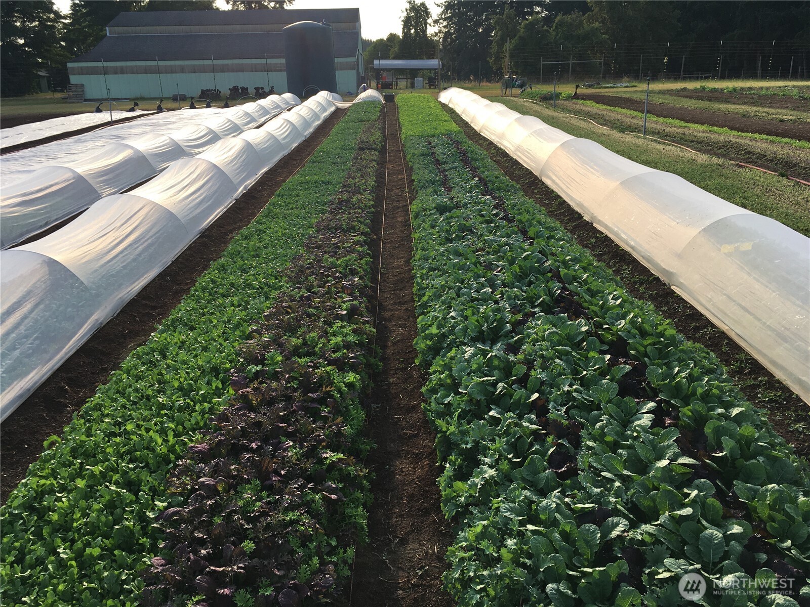 217 Bay Road , Winlock, WA 98596