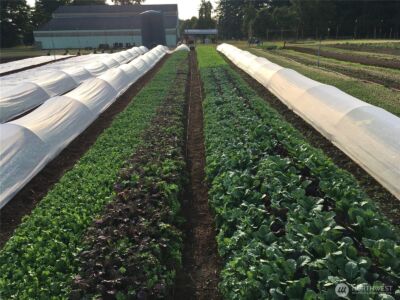 217 Bay Road , Winlock, WA 98596 - Photo 36