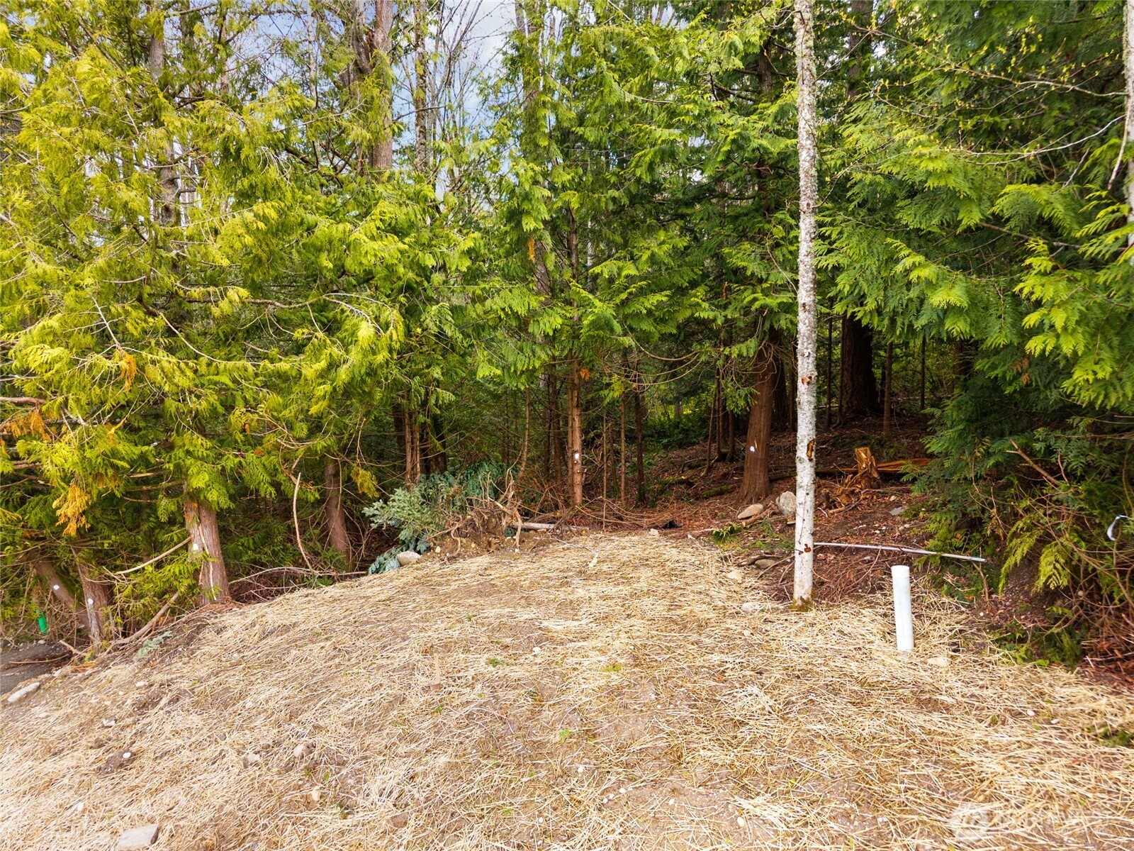 813 41st , Bellingham, WA 98229