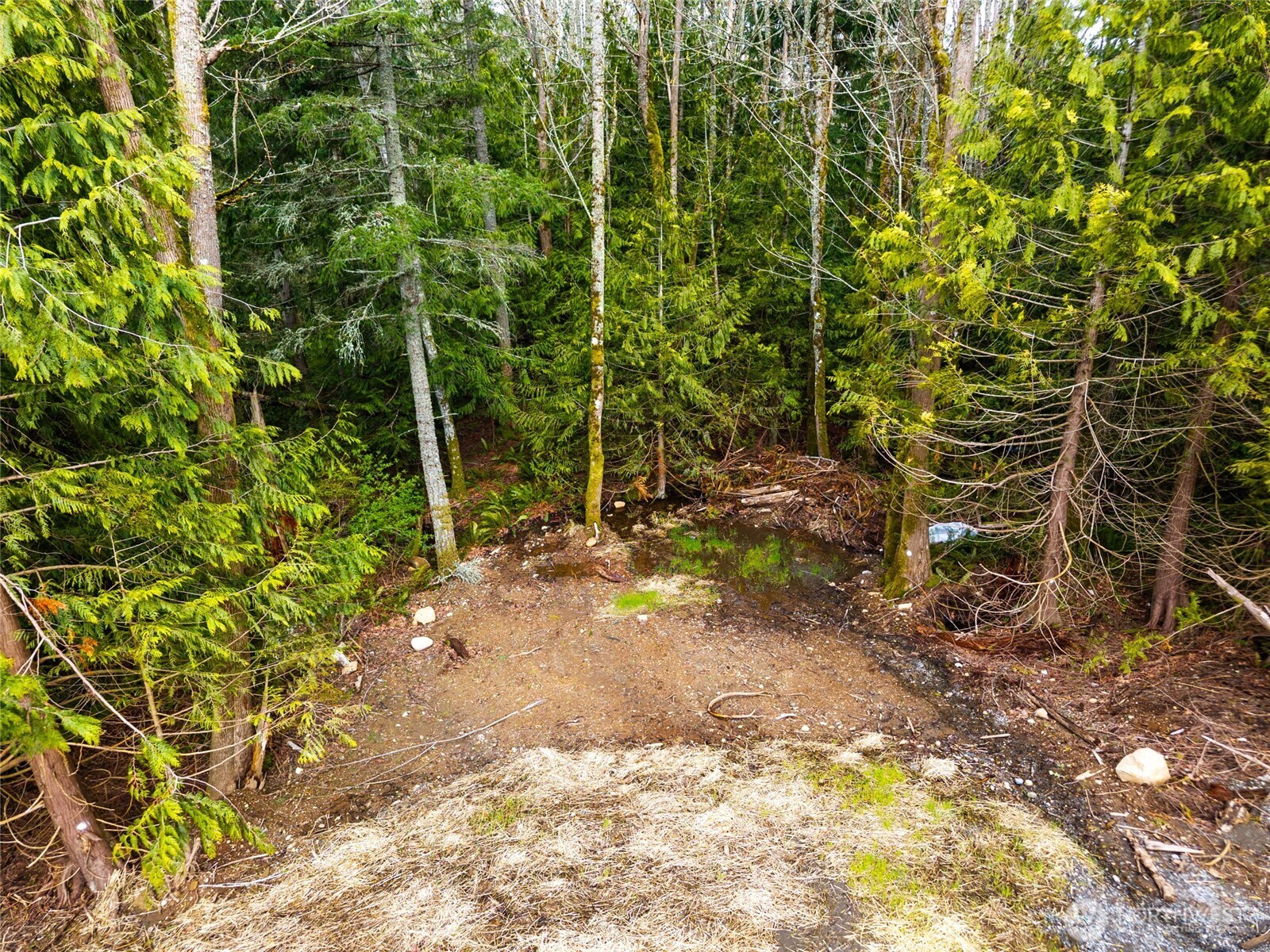 813 41st , Bellingham, WA 98229