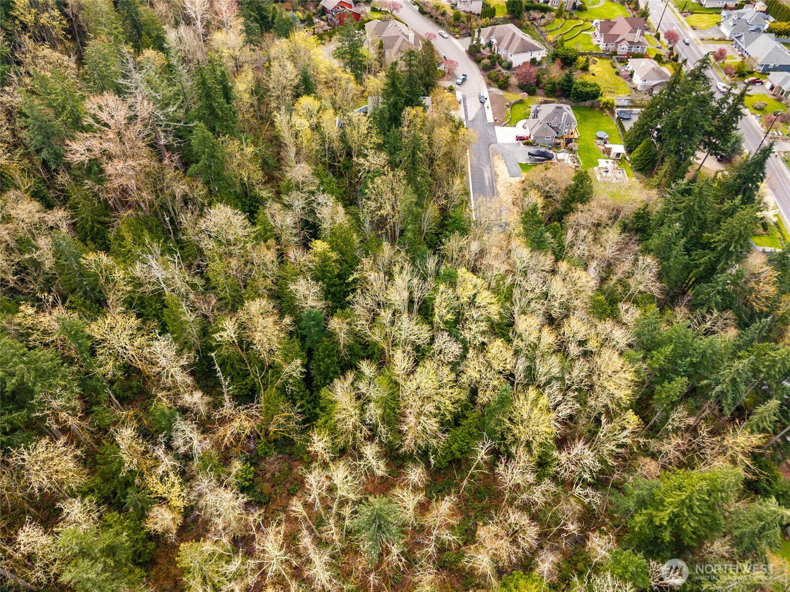 813 41st , Bellingham, WA 98229