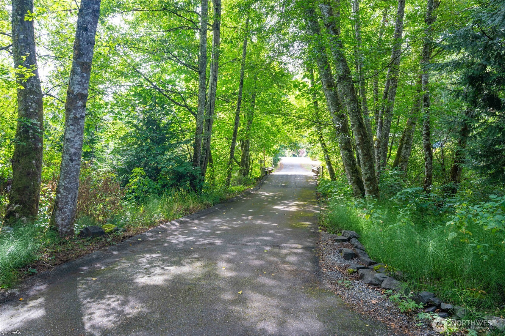 2104 Mark Street NE, Lacey, WA 98516