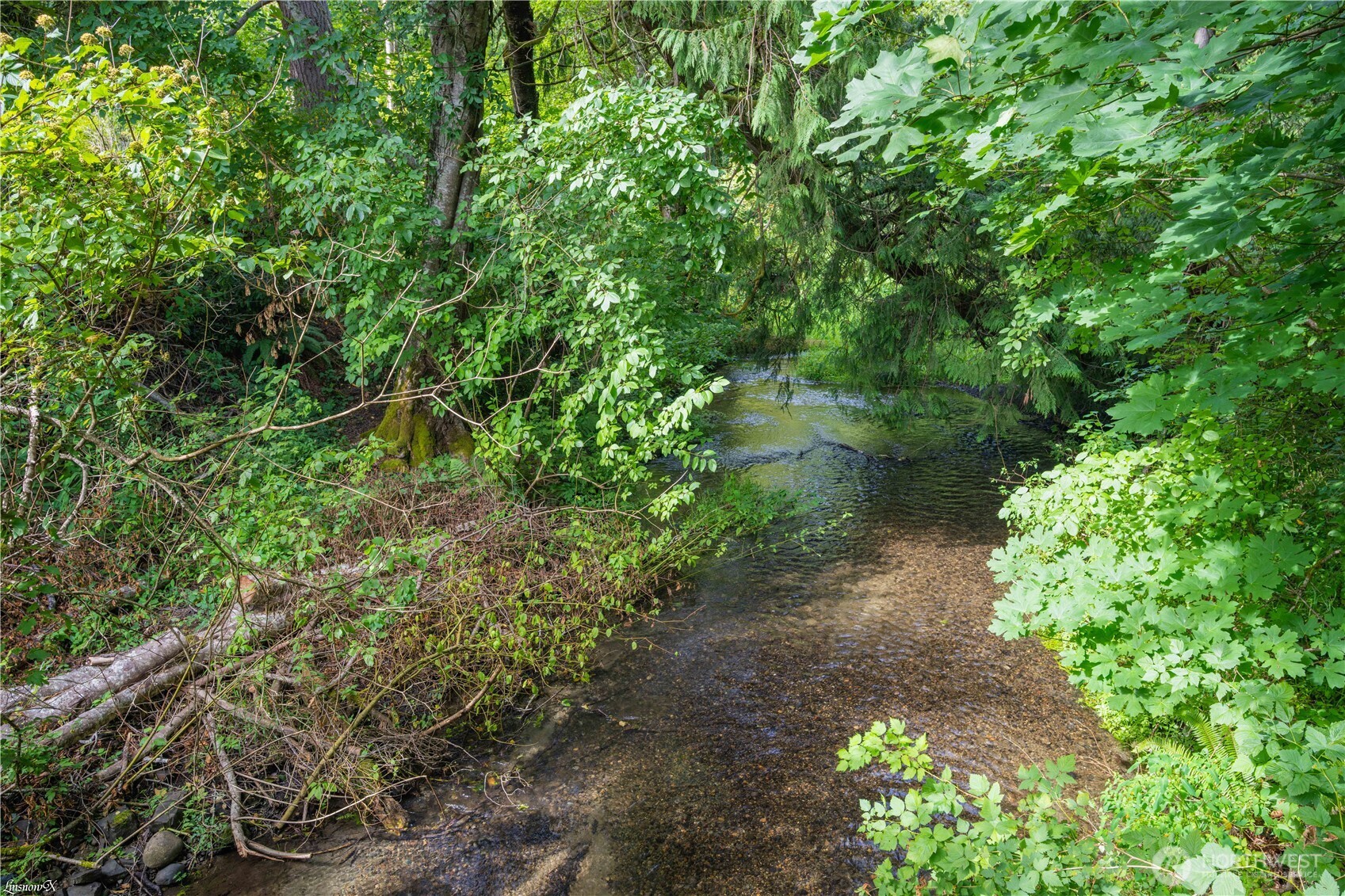 2104 Mark Street NE, Lacey, WA 98516