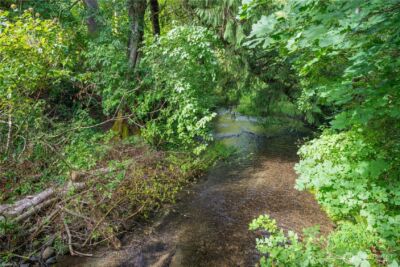 2104 Mark Street NE, Lacey, WA 98516 - Photo 6