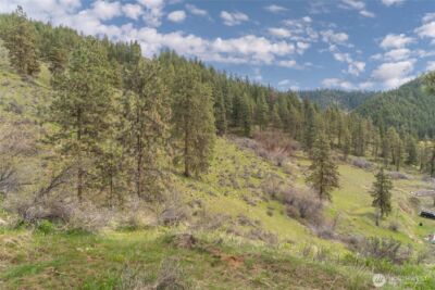 4681 Brisky Canyon Road , Cashmere, WA 98815 - Photo 3