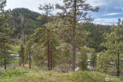 4681 Brisky Canyon Road , Cashmere, WA 98815 - Photo 5