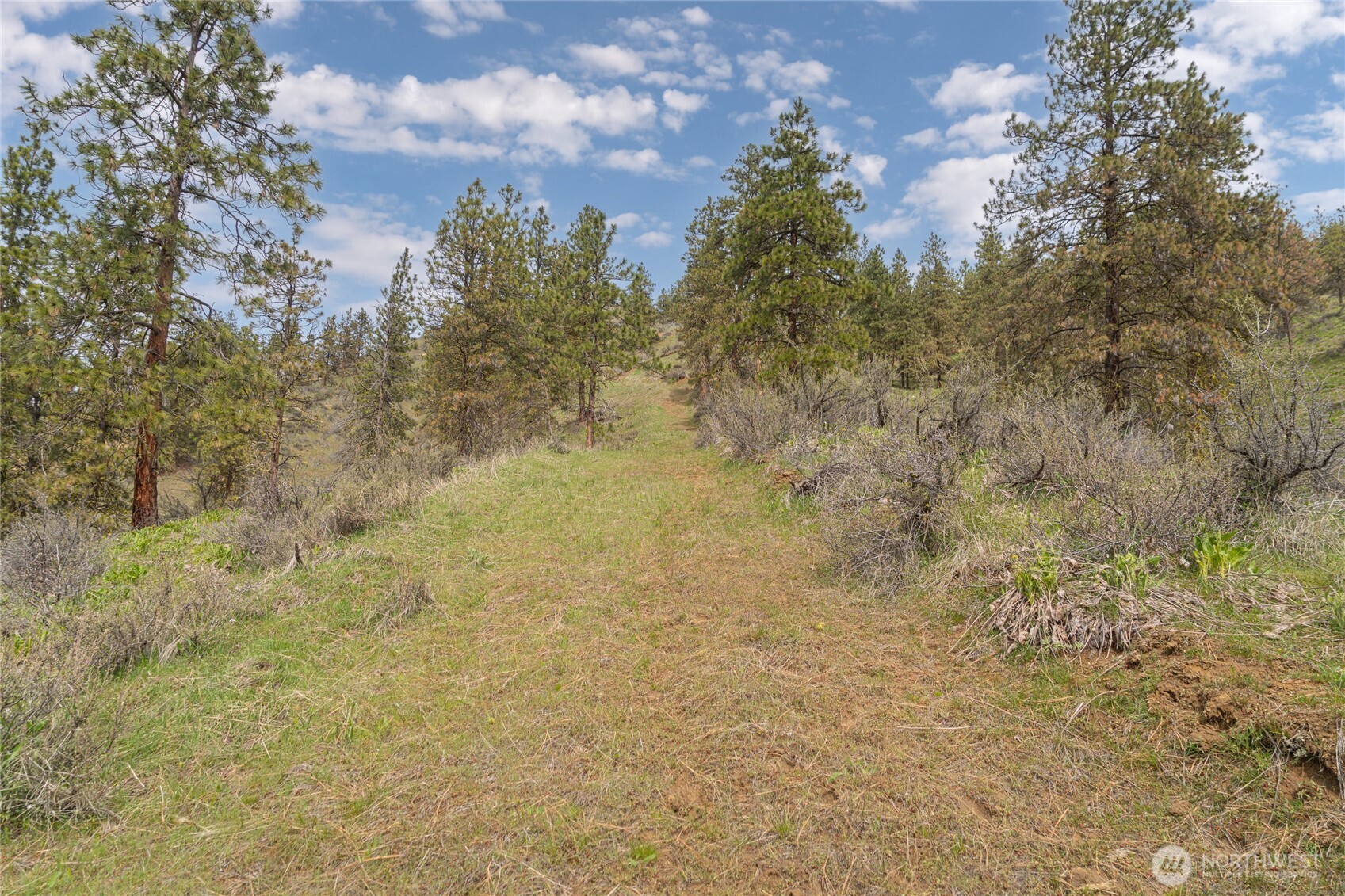 4681 Brisky Canyon Road , Cashmere, WA 98815