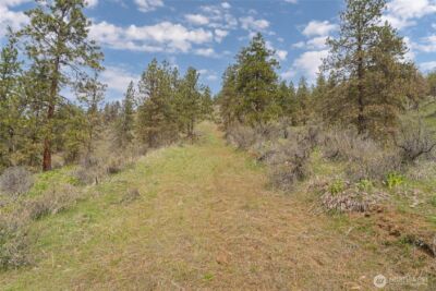 4681 Brisky Canyon Road , Cashmere, WA 98815 - Photo 6