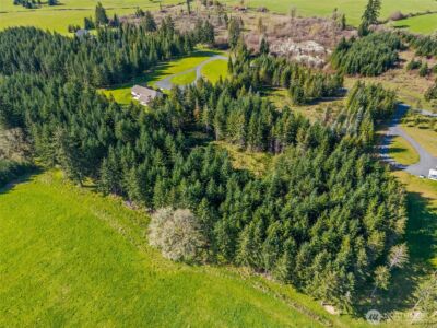 203 Bear Creek Lane , Winlock, WA 98596 - Photo 13