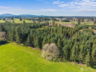 203 Bear Creek Lane , Winlock, WA 98596 - Photo 14