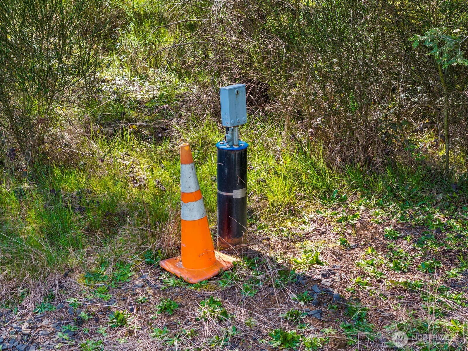 203 Bear Creek Lane , Winlock, WA 98596