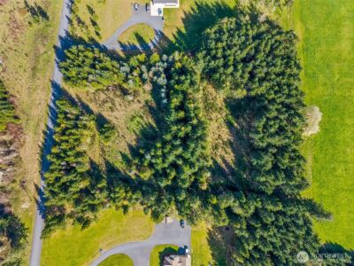 203 Bear Creek Lane , Winlock, WA 98596 - Photo 3