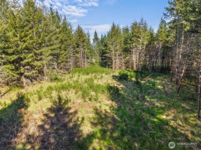 203 Bear Creek Lane , Winlock, WA 98596 - Photo 8