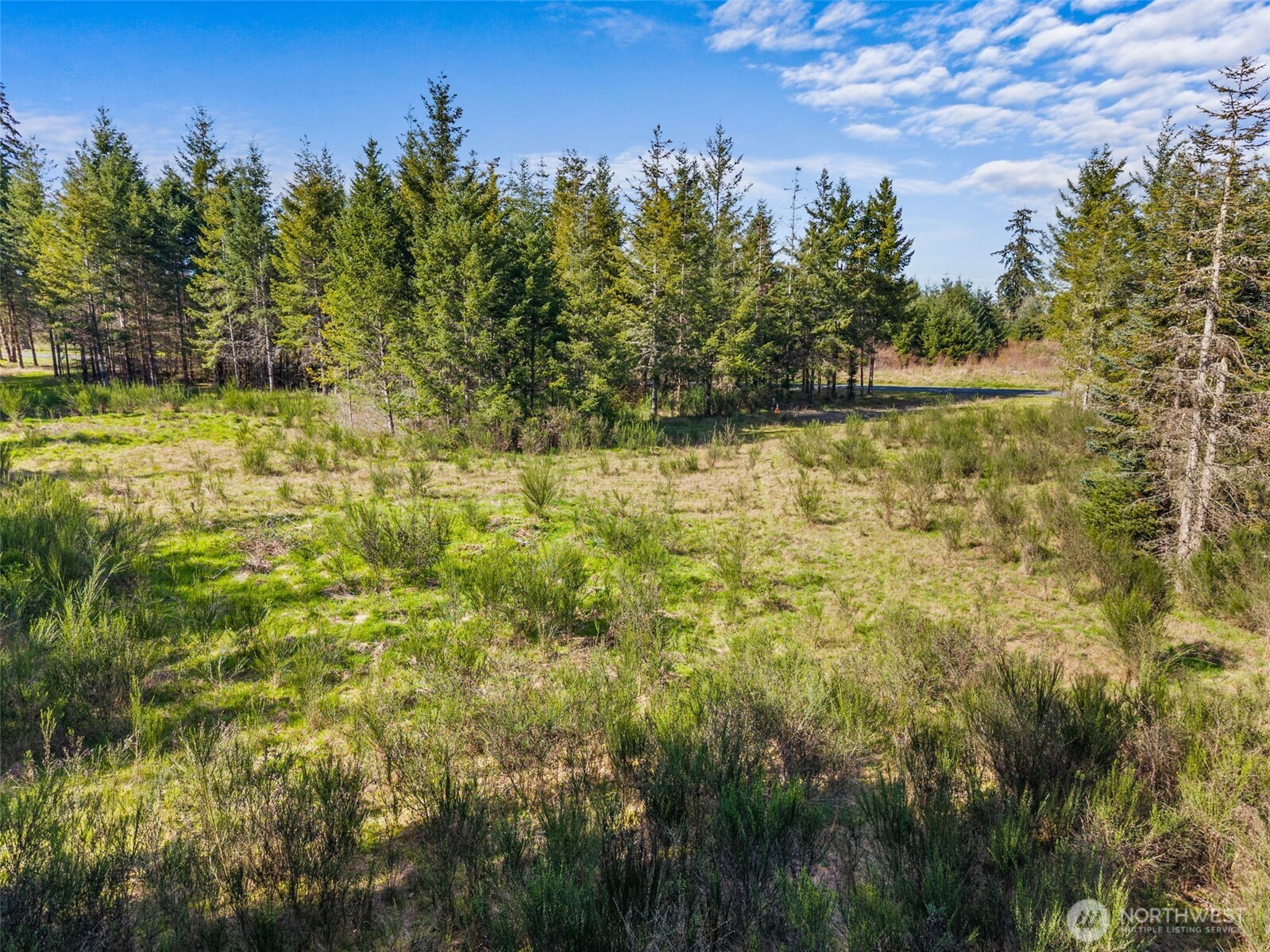 203 Bear Creek Lane , Winlock, WA 98596