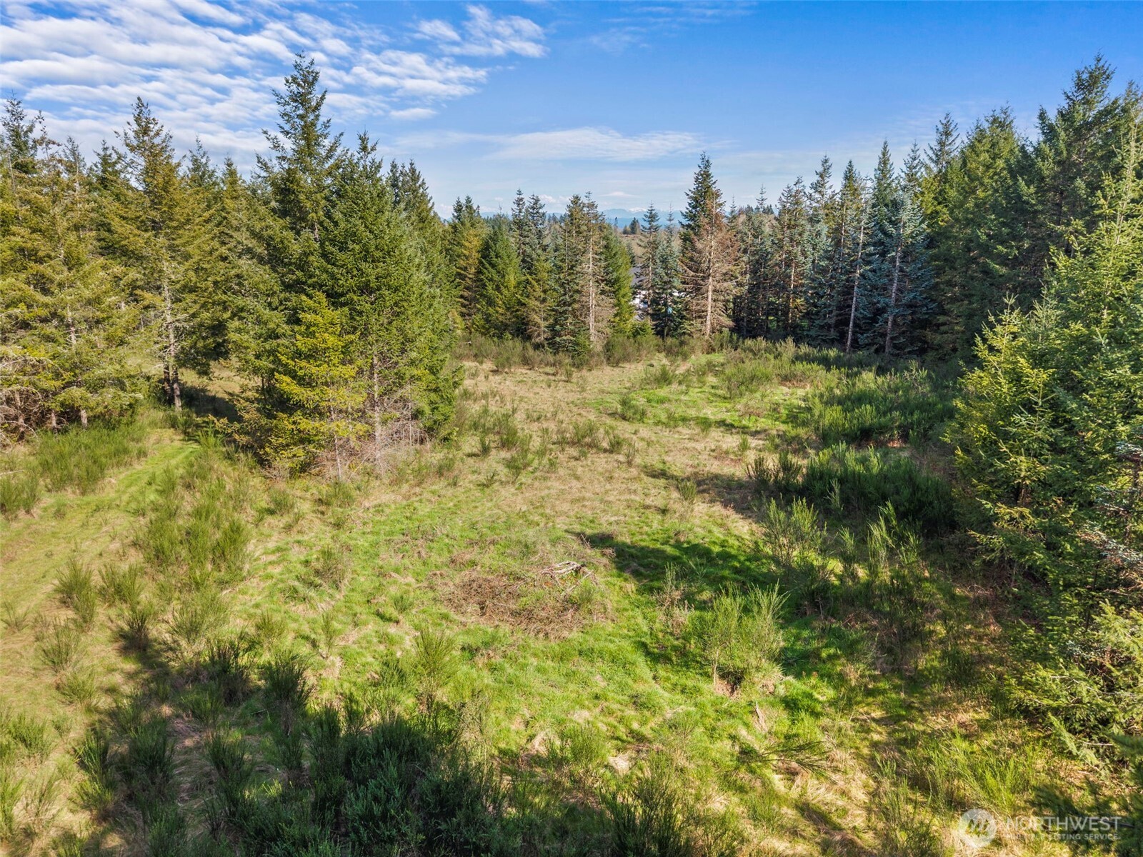 203 Bear Creek Lane , Winlock, WA 98596
