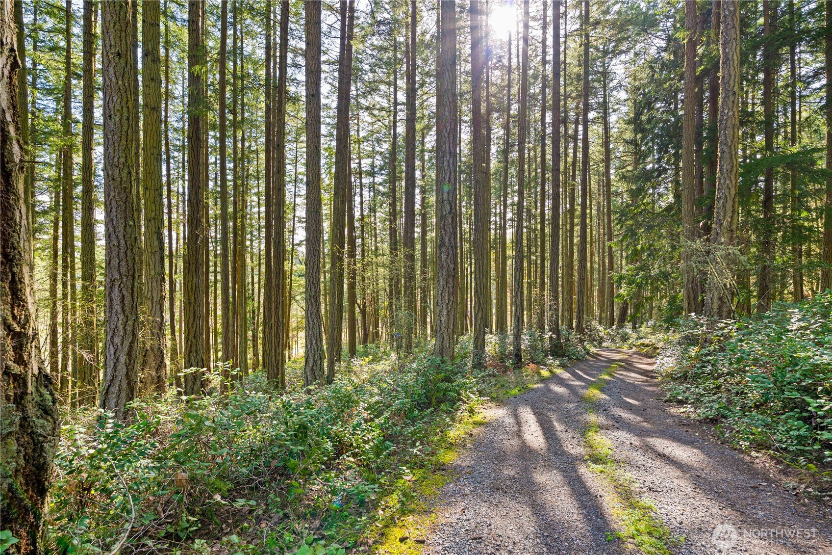 1290 Three Meadows Lane , Friday Harbor, WA 98250