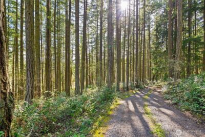 1290 Three Meadows Lane , Friday Harbor, WA 98250 - Photo 28