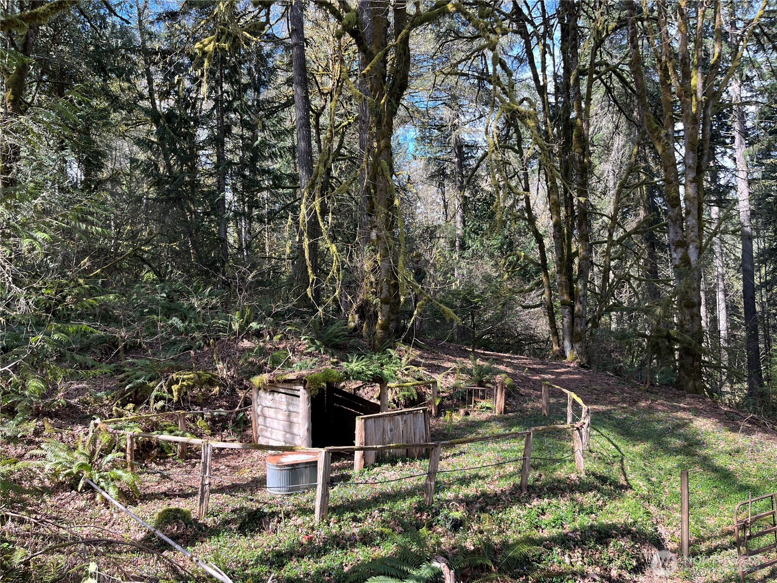 4806 Sunrise Beach Road NW, Olympia, WA 98502