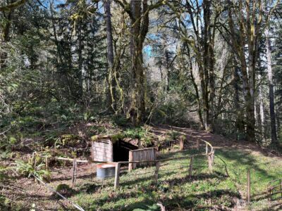 4806 Sunrise Beach Road NW, Olympia, WA 98502 - Photo 33