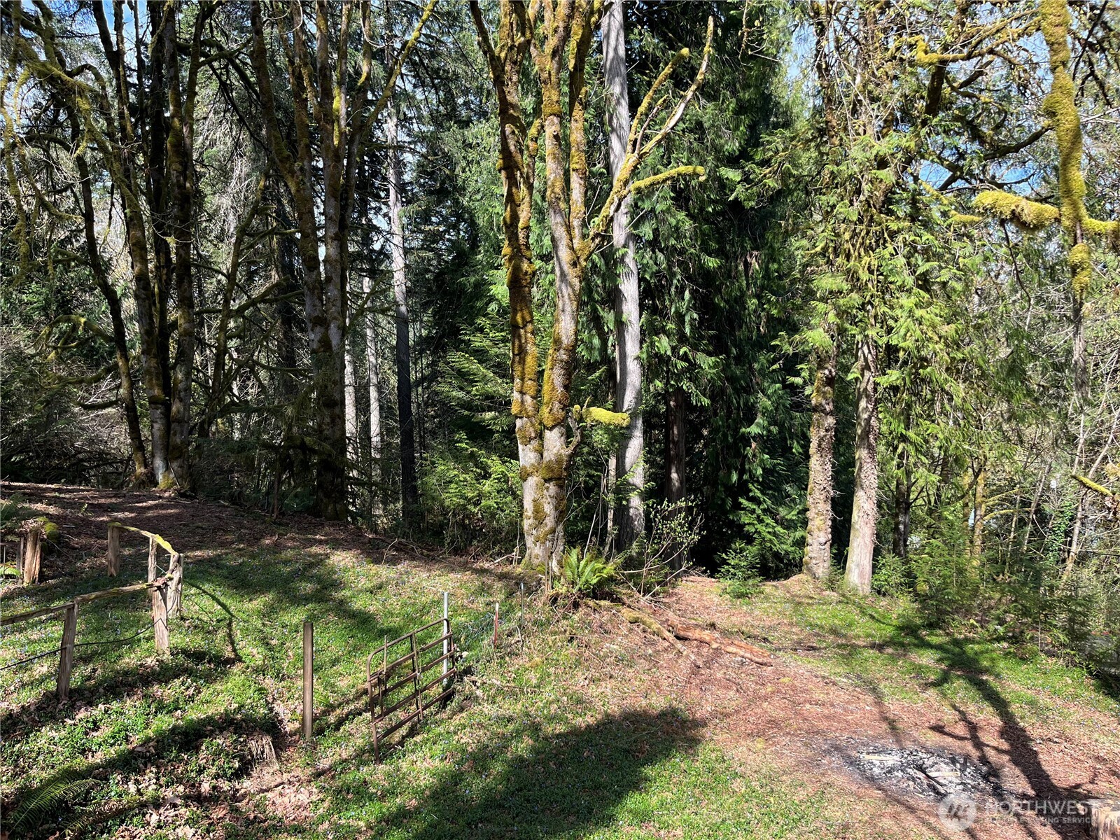 4806 Sunrise Beach Road NW, Olympia, WA 98502