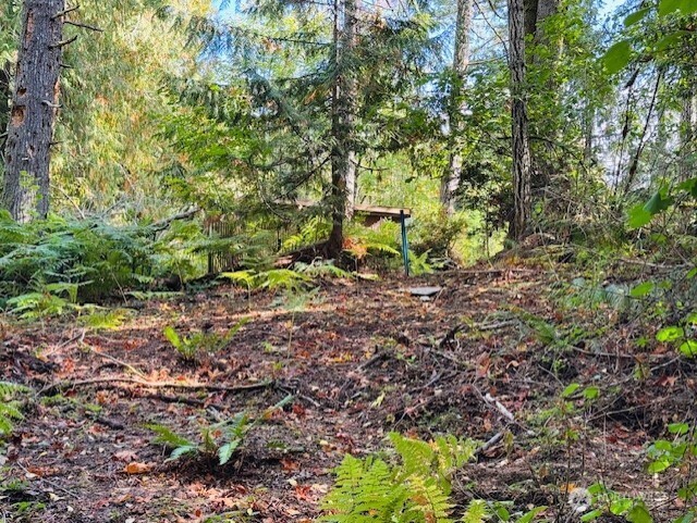 0 E Agate Road , Shelton, WA 98584