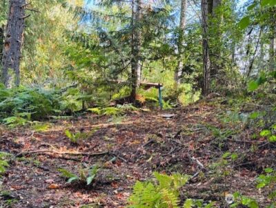 0 E Agate Road , Shelton, WA 98584