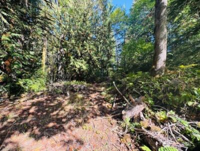 0 E Agate Road , Shelton, WA 98584 - Photo 2