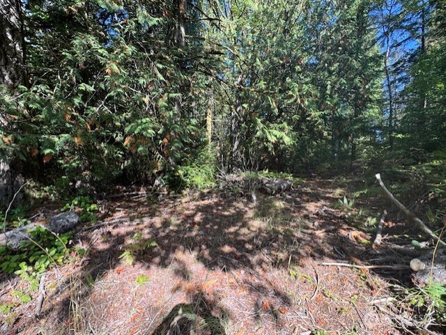 0 E Agate Road , Shelton, WA 98584
