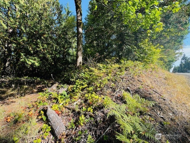 0 E Agate Road , Shelton, WA 98584