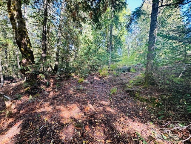 0 E Agate Road , Shelton, WA 98584